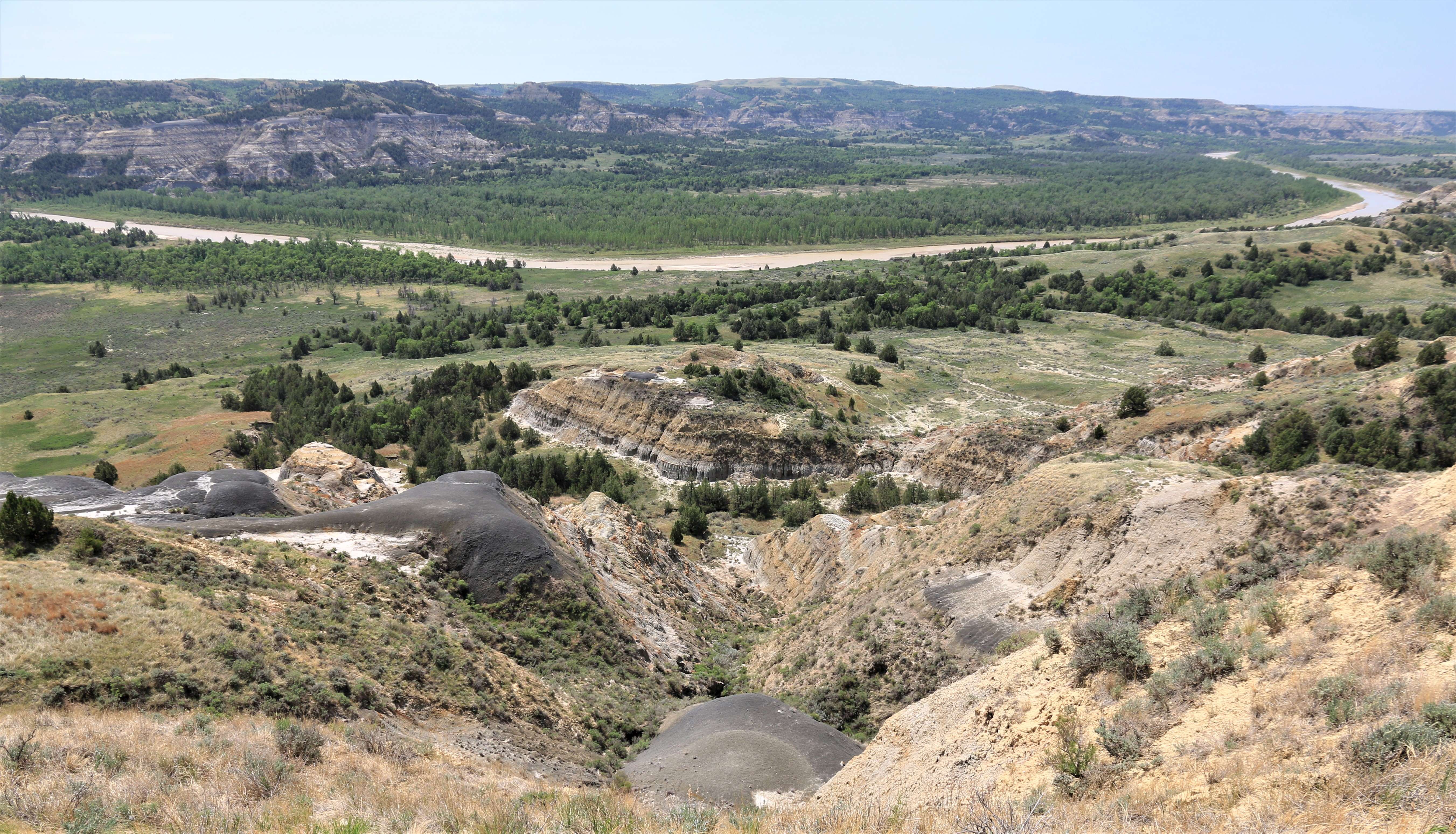 Theodore Roosevelt NP